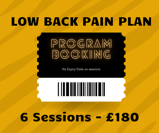 Low Back Pain Plan